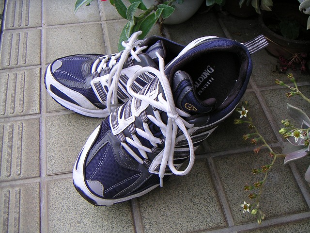 MaKǑC